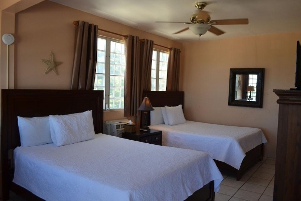 The Lazy Parrot Inn (Rincón)